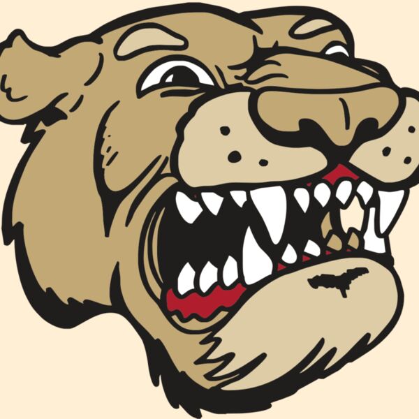 AR5 COUGAR 04 RQC Thumbnail