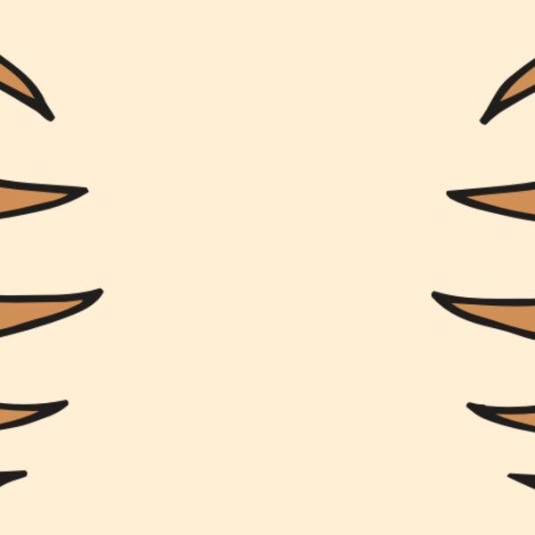 AR BEAR 05 RC Thumbnail