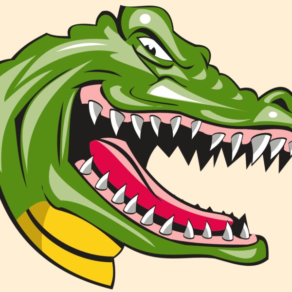 GATOR HD0501 RQC Thumbnail