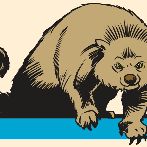 AR22 BEARCAT 02 RQC Thumbnail