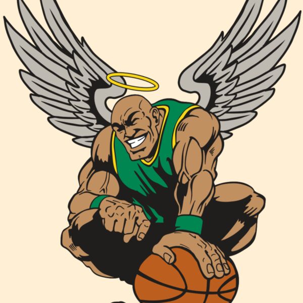 AR17 ANGEL BSKT 03 RQC Thumbnail