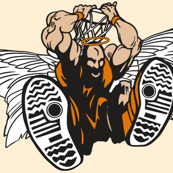 AR17 ANGEL BSKT 07 RQC Thumbnail