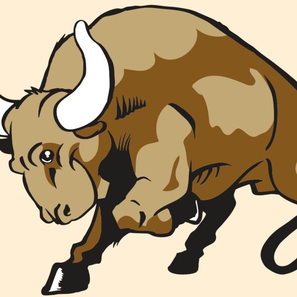 AR BULL 41 RC Thumbnail