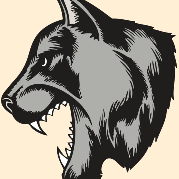 BAW COUG PANTH 06 RC Thumbnail