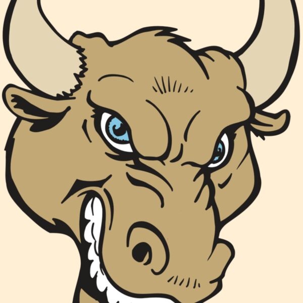 AR5 BULL 13 RQC Thumbnail