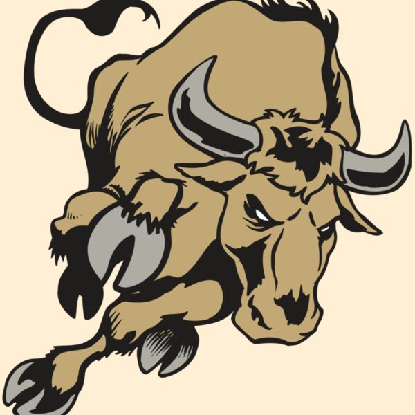 AR BULL 51 RC Thumbnail