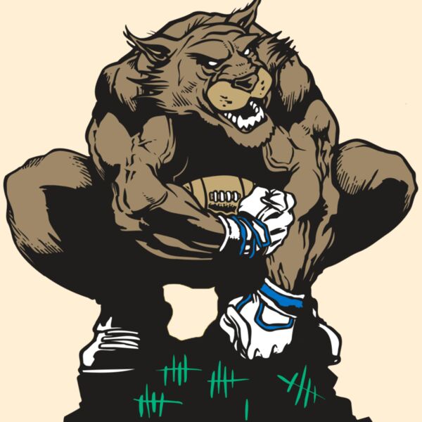 AR WILDCAT 34 RC Thumbnail