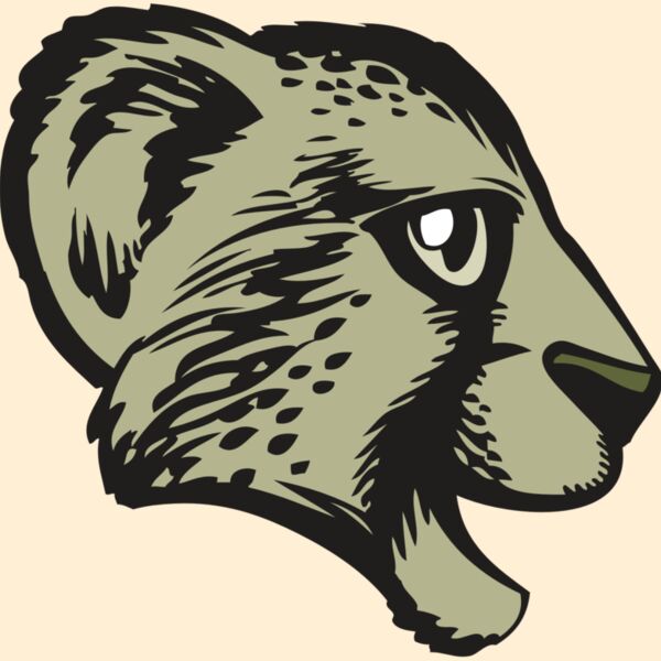 BAW CHEETAH 17 RC Thumbnail