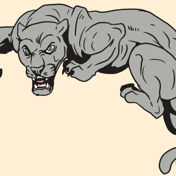 AR10 PANTHER 02 RQC Thumbnail