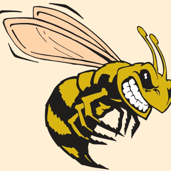 AR BEE 50 RC Thumbnail