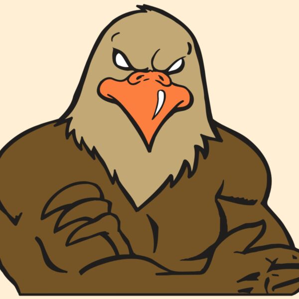 AR FALCON 26 RC Thumbnail