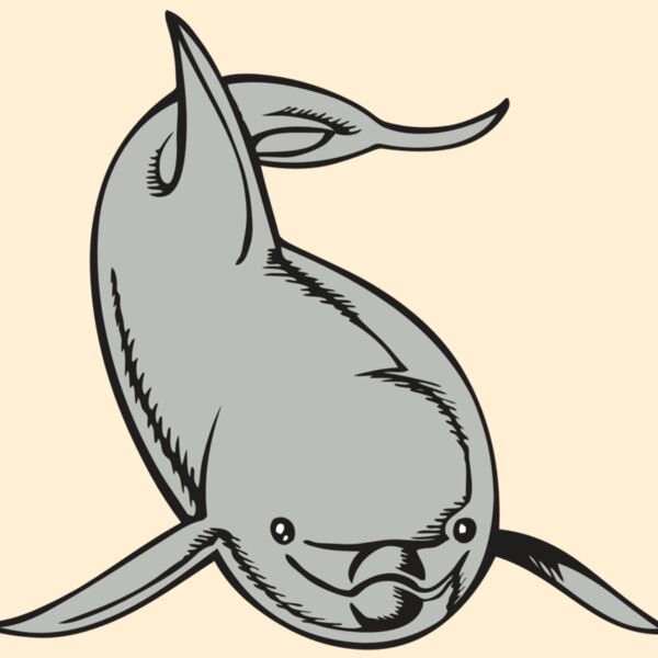 BAW DOLPHIN 02 RC Thumbnail