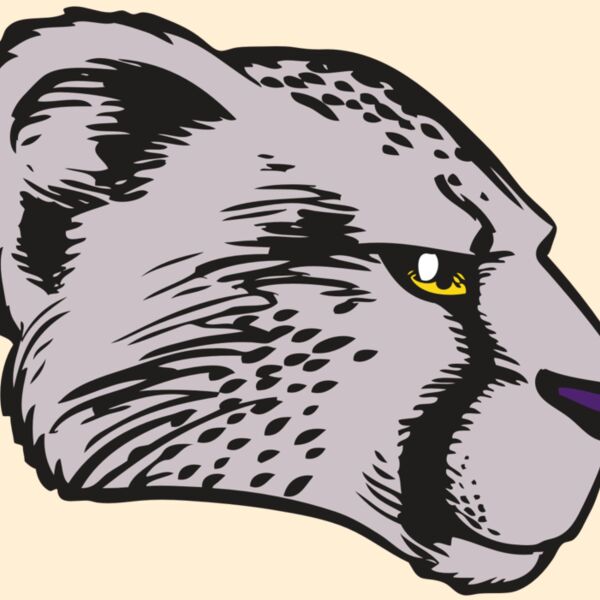 BAW CHEETAH 20 RC Thumbnail