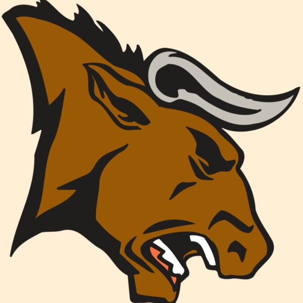 AR BULL 38 RC Thumbnail