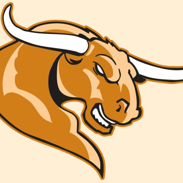 AR BULL 14 RC Thumbnail