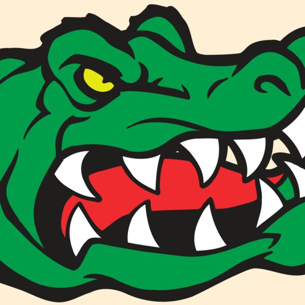 AR GATOR 19 RQC Thumbnail