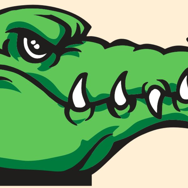 AR GATOR 15 RQC Thumbnail