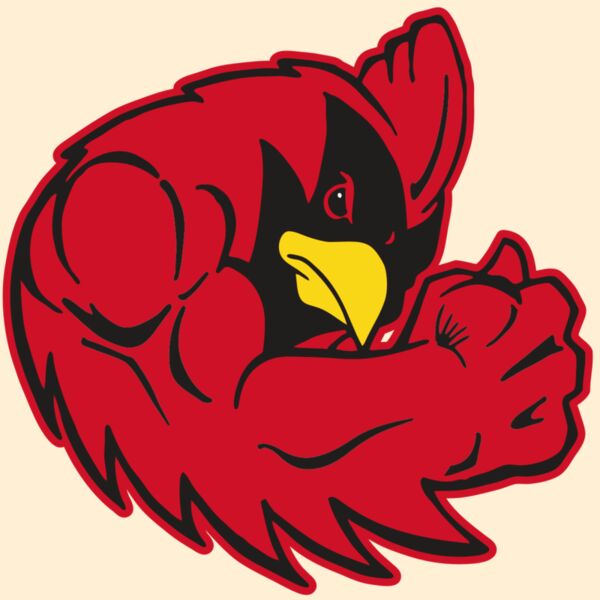 AR CARDINAL 29 RC Thumbnail