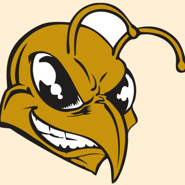 BAW BEE 18 RC Thumbnail