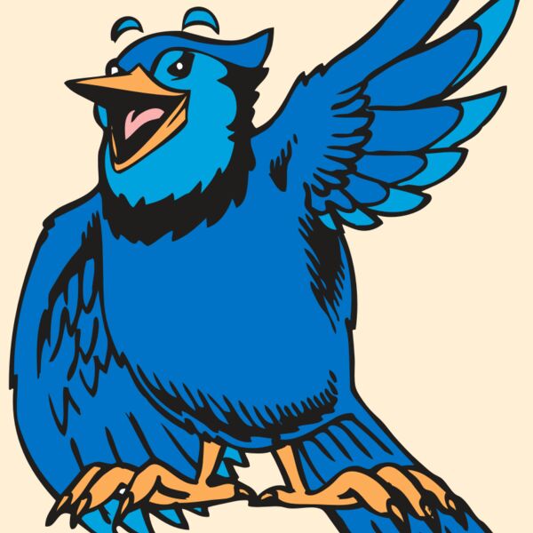 BAW BLUEJAY 06 RC Thumbnail