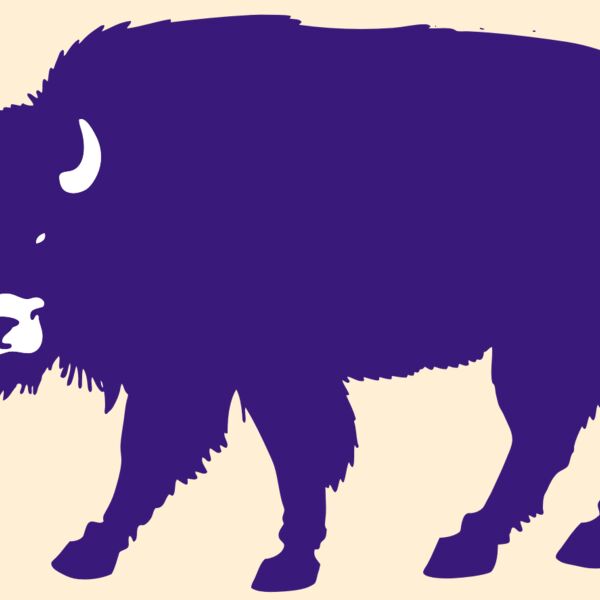 AR BUFF 23 RC Thumbnail