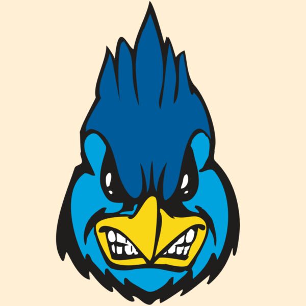 BAW BLUEJAY 02 RC Thumbnail