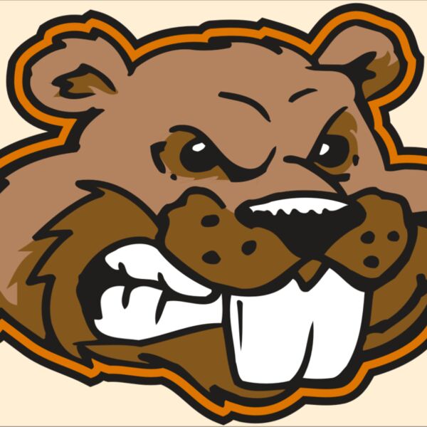 AR BEAVER 11 RC Thumbnail