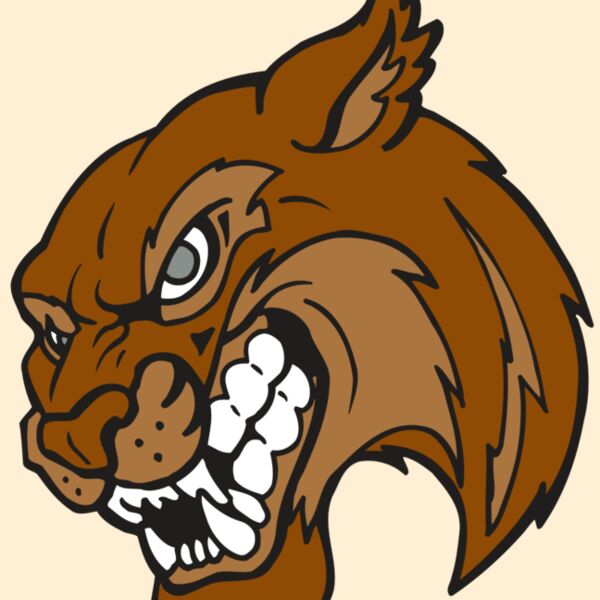 AR5 BOBCAT 07 RQC Thumbnail