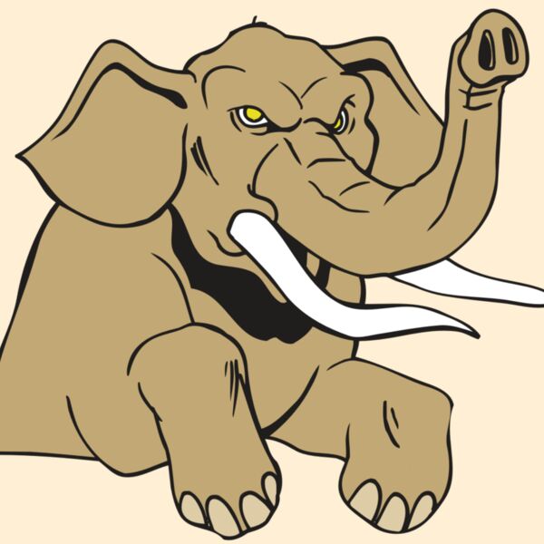 AR ELEPH 19 RC Thumbnail