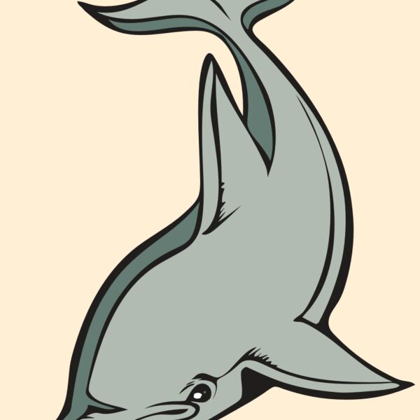 BAW DOLPHIN 01 RC Thumbnail