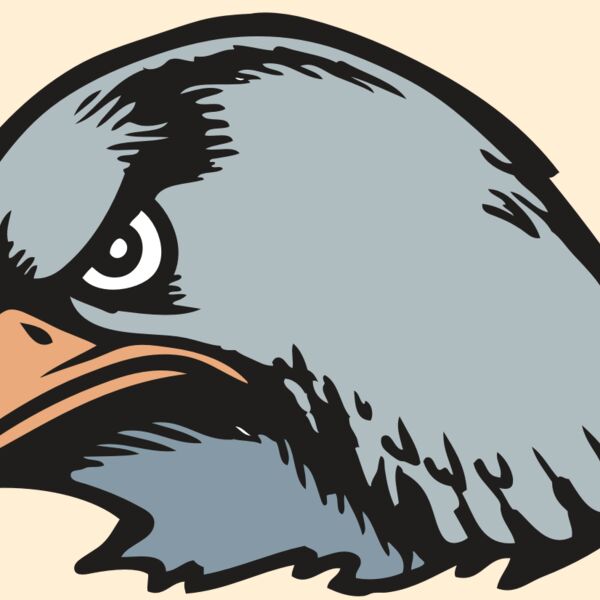 BAW HWK FLCN 03 RC Thumbnail