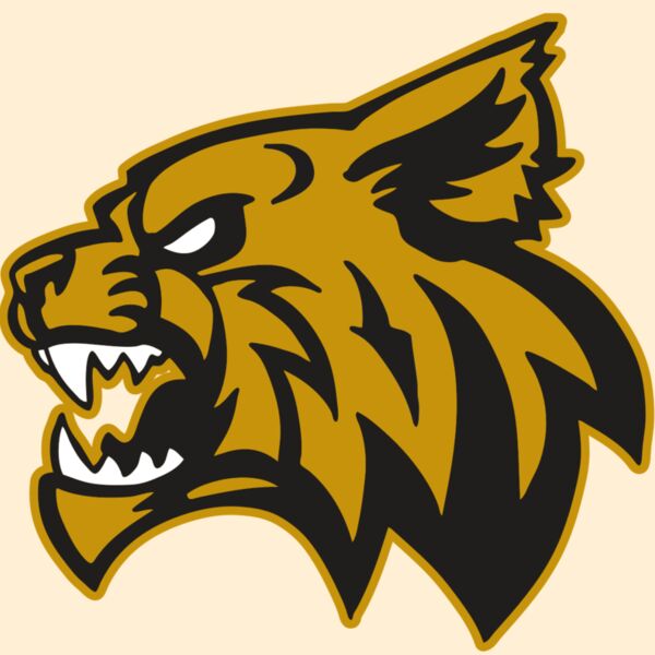 AR WILDCAT 16 RC Thumbnail