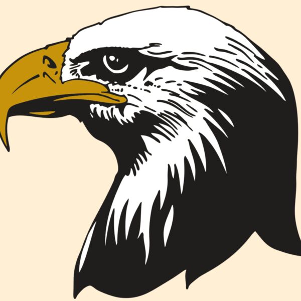 AR EAGLE 87 RC Thumbnail