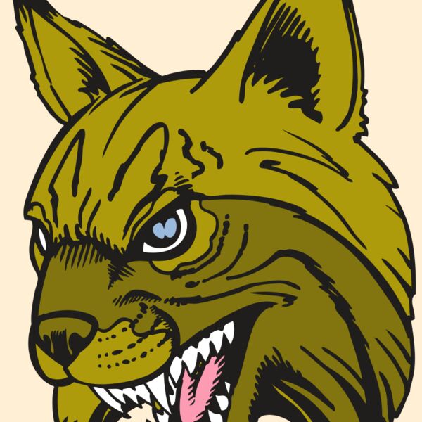 BAW BOBCAT 05 RC Thumbnail