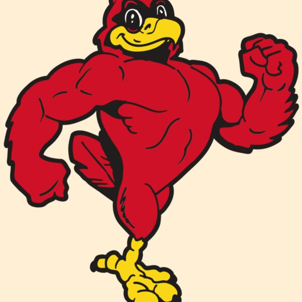 AR CARDINAL 41 RC Thumbnail