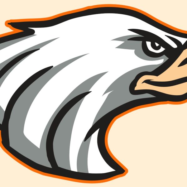 AR16 EAGLE 01 RQ Thumbnail