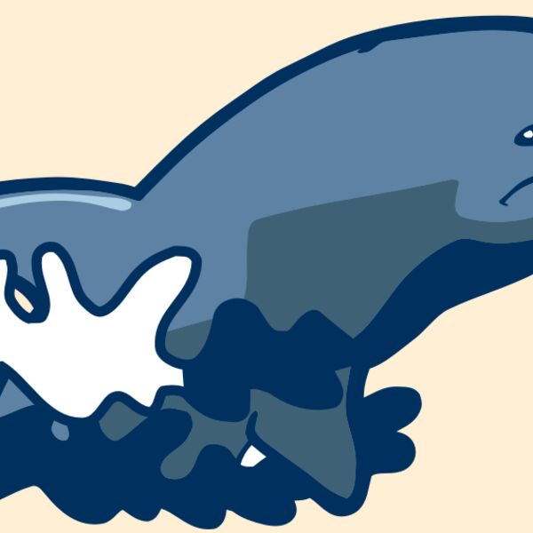 AR DOLPIN 10 RC Thumbnail