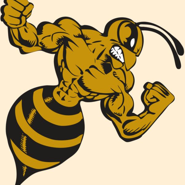 BAW BEE 01 RC Thumbnail