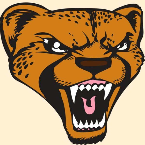 BAW CHEETAH 12 RC Thumbnail