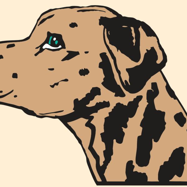 AR2 OTHER 03 RQC Thumbnail