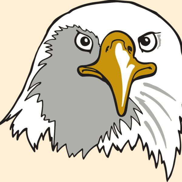 AR EAGLE 39 RC Thumbnail