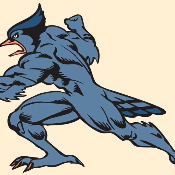 BAW BLUEJAY 15 RC Thumbnail