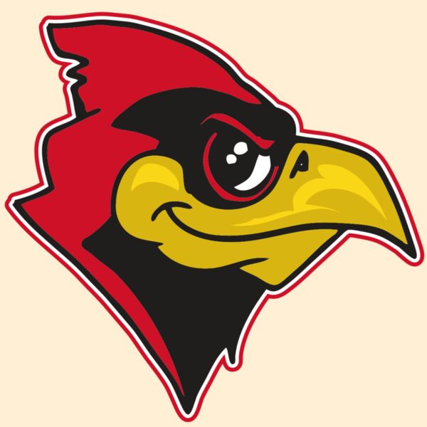 AR CARDINAL 38 RC Thumbnail