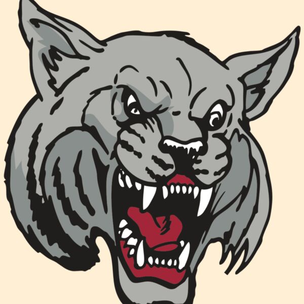 AR WILDCAT 42 RC Thumbnail