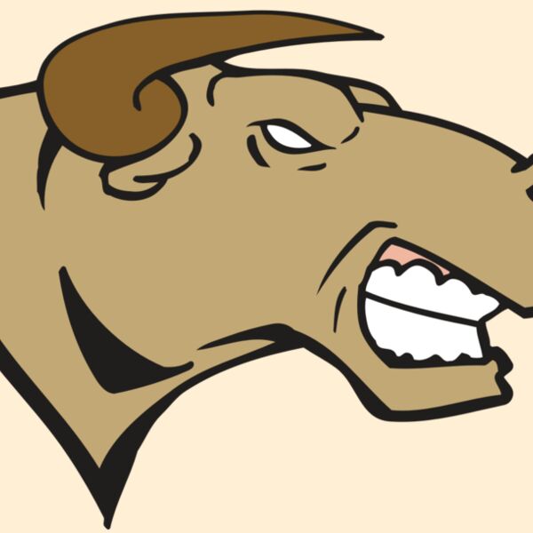 AR BULL 30 RC Thumbnail