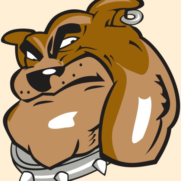 BULLDOG HD0501 RQC Thumbnail