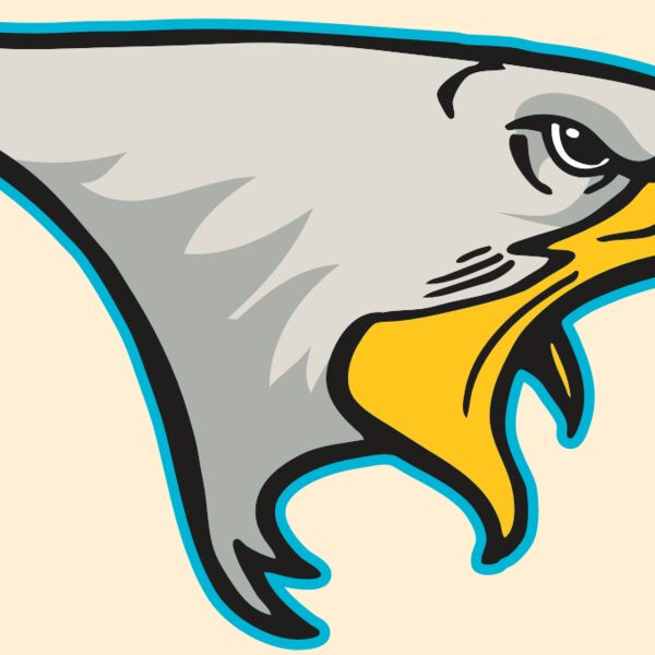 AR14 EAGLE FBALL 01 RQC Thumbnail