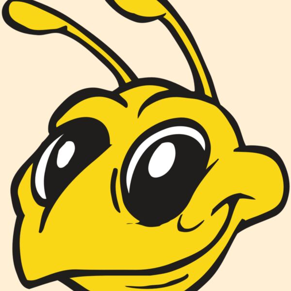 AR BEE 28 RC Thumbnail