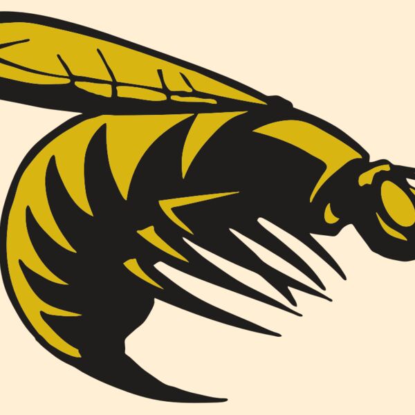 AR BEE 49 RC Thumbnail