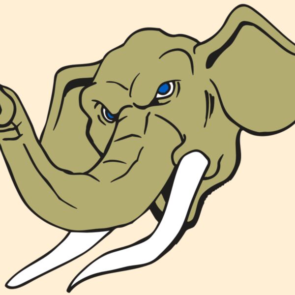 AR ELEPH 17 RC Thumbnail